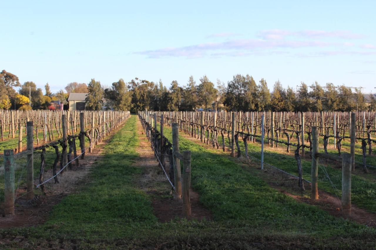 Milawa Vineyard Views - Guesthouse 1 エクステリア 写真